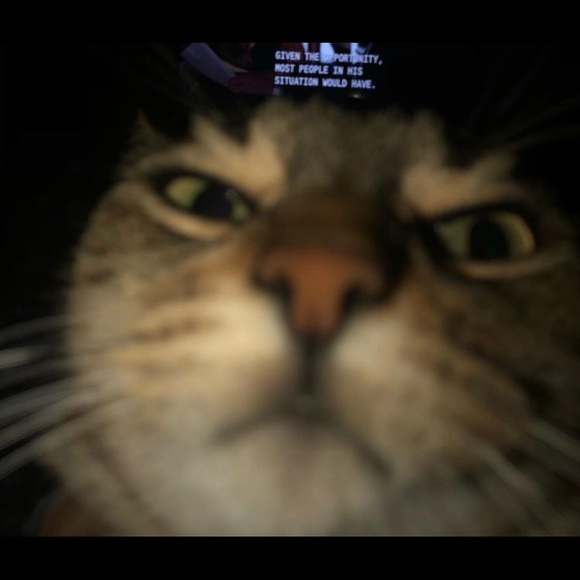 Meet your Posher, Chris - Picture 1 of 1